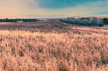 Image 59 - dueling-dakota-outfitters-66834590-7EE9-44B4-A1AC-A137D441A279.jpg