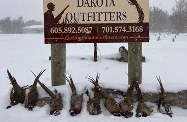 Image 48 - dueling-dakota-outfitters-95D5F34D-1F4E-483F-B4CC-332AE319B250.jpg