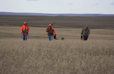 Image 22 - dueling-dakota-outfitters-B9CF6467-A287-4EA8-A97E-36959B000174.jpg
